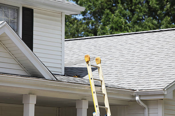 Best Shed Removal  in Pine Valley, CA